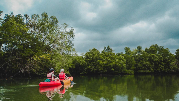 Discover Qatar's Best Kayaking Spots and Embrace Adventure with Safety Rent A Car